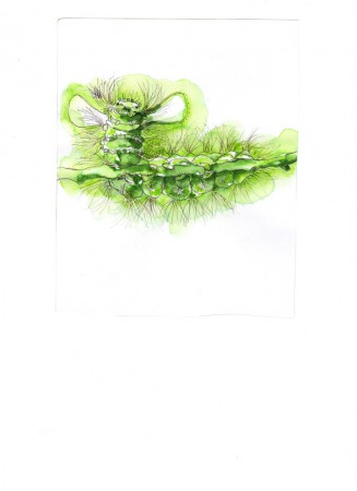 Hernyóvá változott tündér